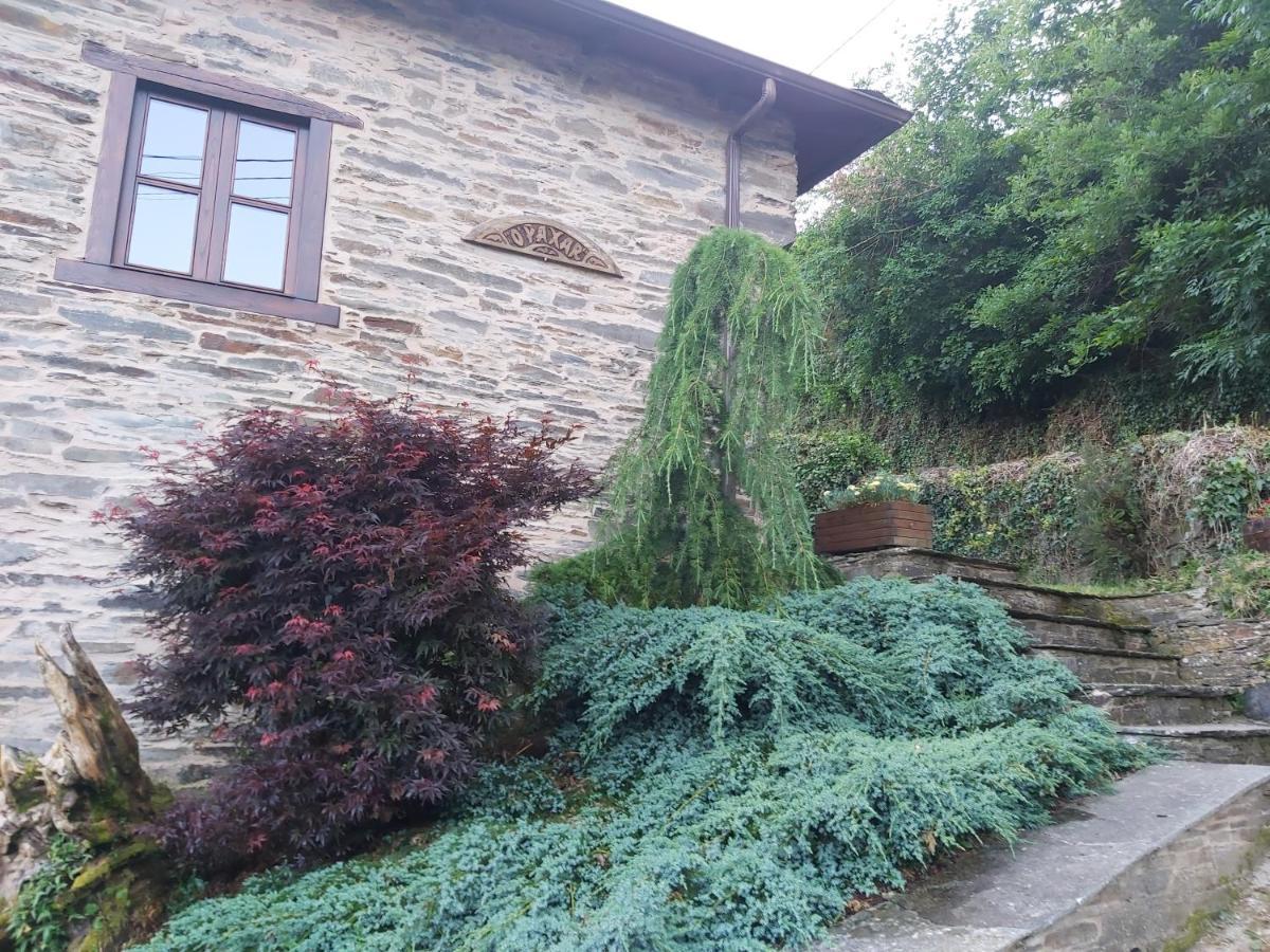 O Paxar Villa Samos Kültér fotó