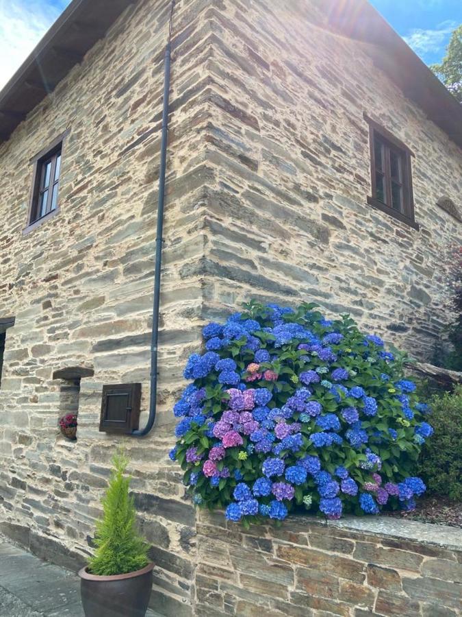 O Paxar Villa Samos Kültér fotó